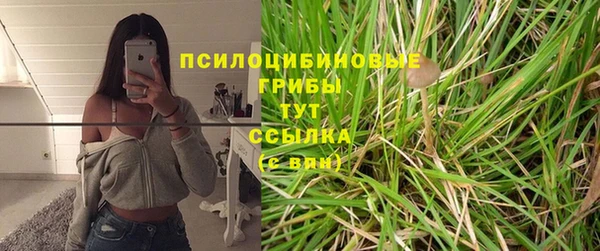 Альфа ПВП Арсеньев