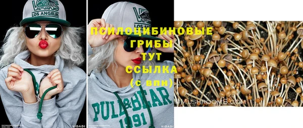 Альфа ПВП Арсеньев