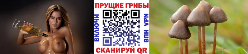 KRAKEN ССЫЛКА магазин продажи Георгиевск Галлюциногенные грибы ЛСД